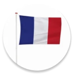 french to english mega translator android application logo